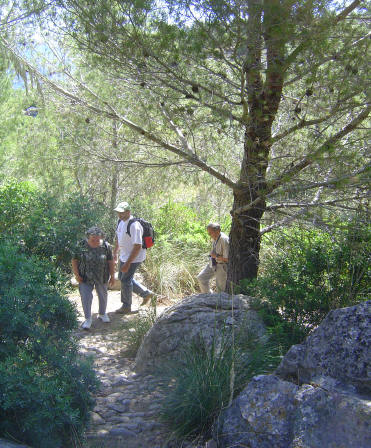  cel.lebrrem el nostre 25 aniversari amb una excursi al Refugi de Muleta; i un cop all frem una ballada popular amb tots els amics i amigues de l'estol