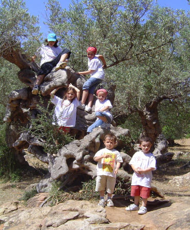  cel.lebrrem el nostre 25 aniversari amb una excursi al Refugi de Muleta; i un cop all frem una ballada popular amb tots els amics i amigues de l'estol