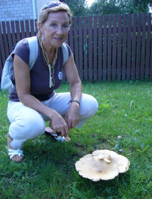 Marga Amengual